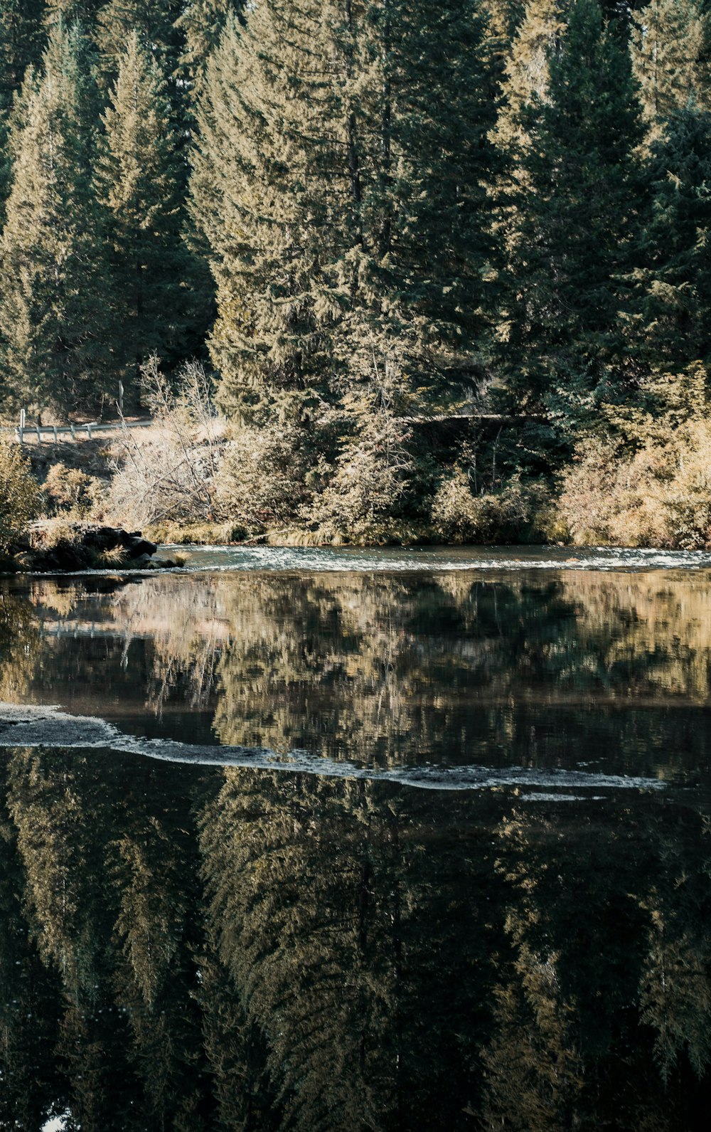 a large body of water surrounded by trees