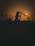 A silhouette of a person holding a cricket bat, standing against a backdrop of a setting sun. The horizon features tree outlines and the sky is a warm orange hue.