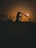 A silhouette of a person holding a cricket bat, standing against a backdrop of a setting sun. The horizon features tree outlines and the sky is a warm orange hue.