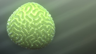 A spherical object with a texture resembling a brain, featuring intricate, maze-like grooves on its surface. It emits a soft green glow, contrasting with the muted, dark green background.