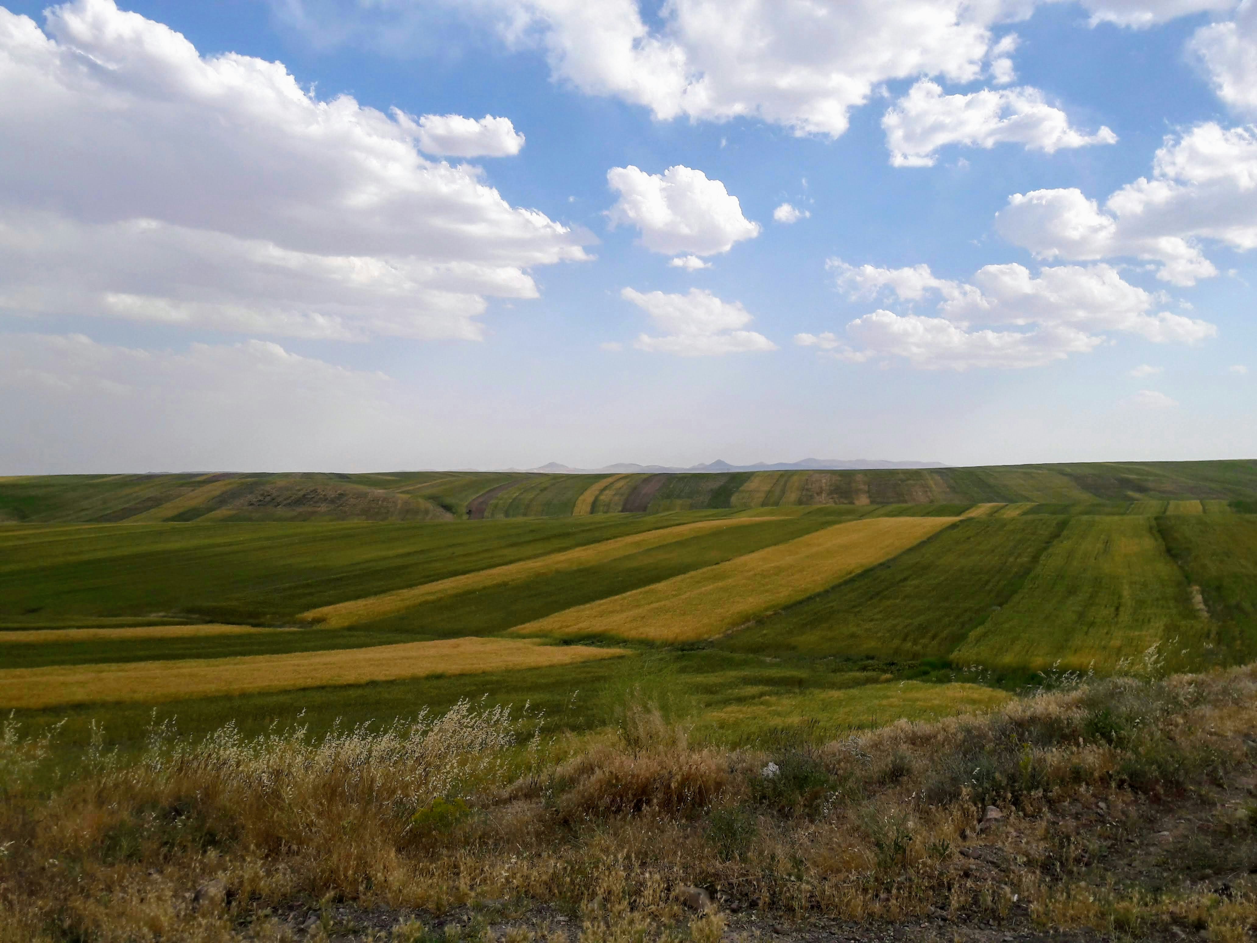 Photo by amir_mortazavi