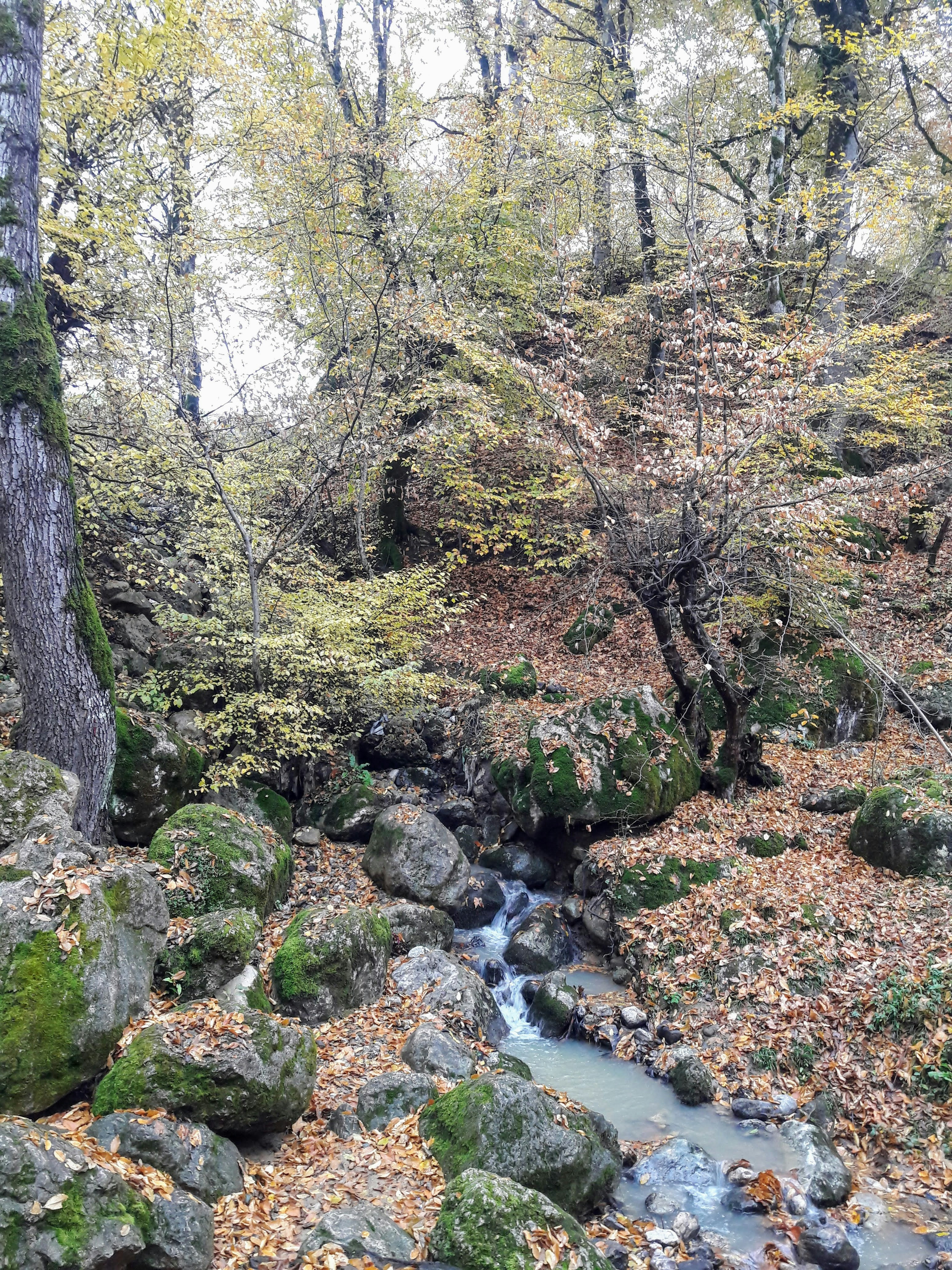 Photo by amir_mortazavi
