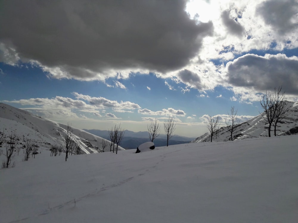 a snow covered hill with trees and clouds in the background