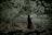 A woman stands in a lush, wooded area by a calm, reflective body of water. Her eyes are closed as she embraces herself, surrounded by intertwined branches and leaves that create a serene, natural environment. The muted green tones of the forest convey a sense of tranquility.