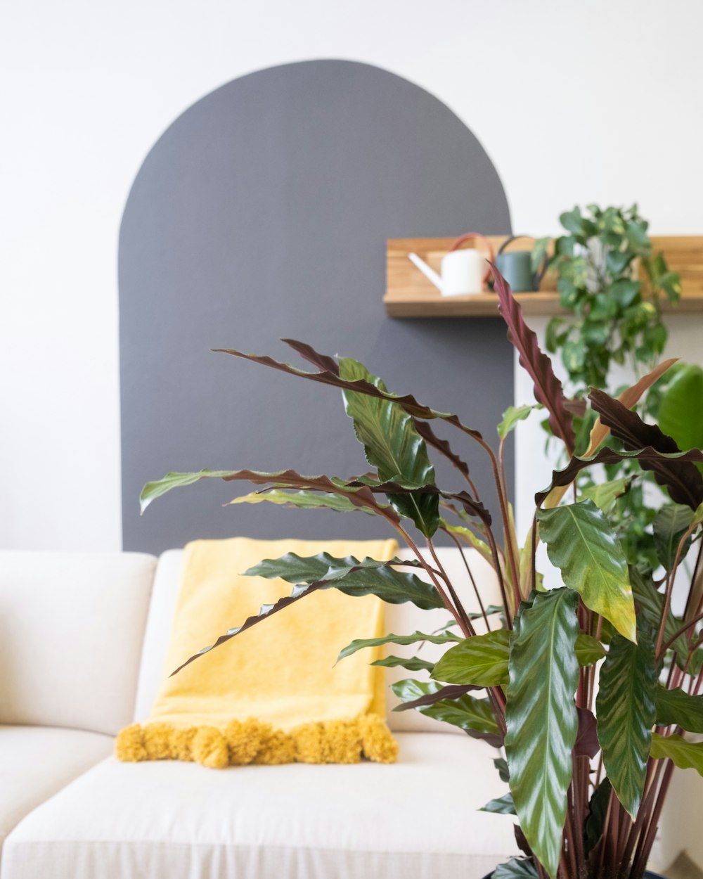 a living room with a couch and a potted plant