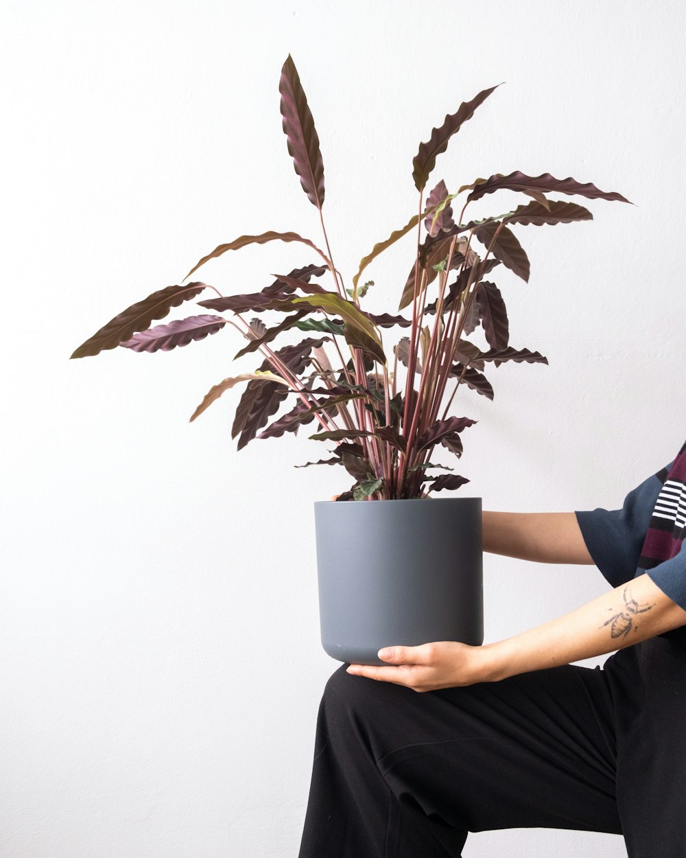 a man sitting on a stool holding a potted plant