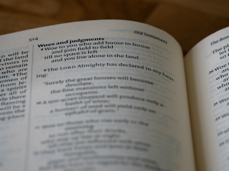 An open book displaying text from the Old Testament, specifically focusing on a section titled 'Woes and judgments'. The text is printed in a traditional serif font and is organized into verses. The page number 514 is visible at the top corner.