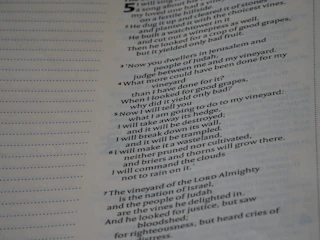 A printed itinerary sheet with daily walking distances and spiritual reflections.
