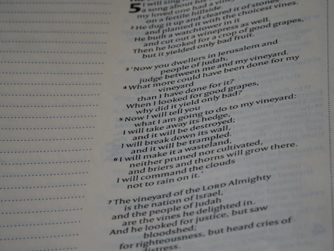 A printed itinerary sheet with daily walking distances and spiritual reflections.