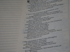 Bible Puzzle Sheets