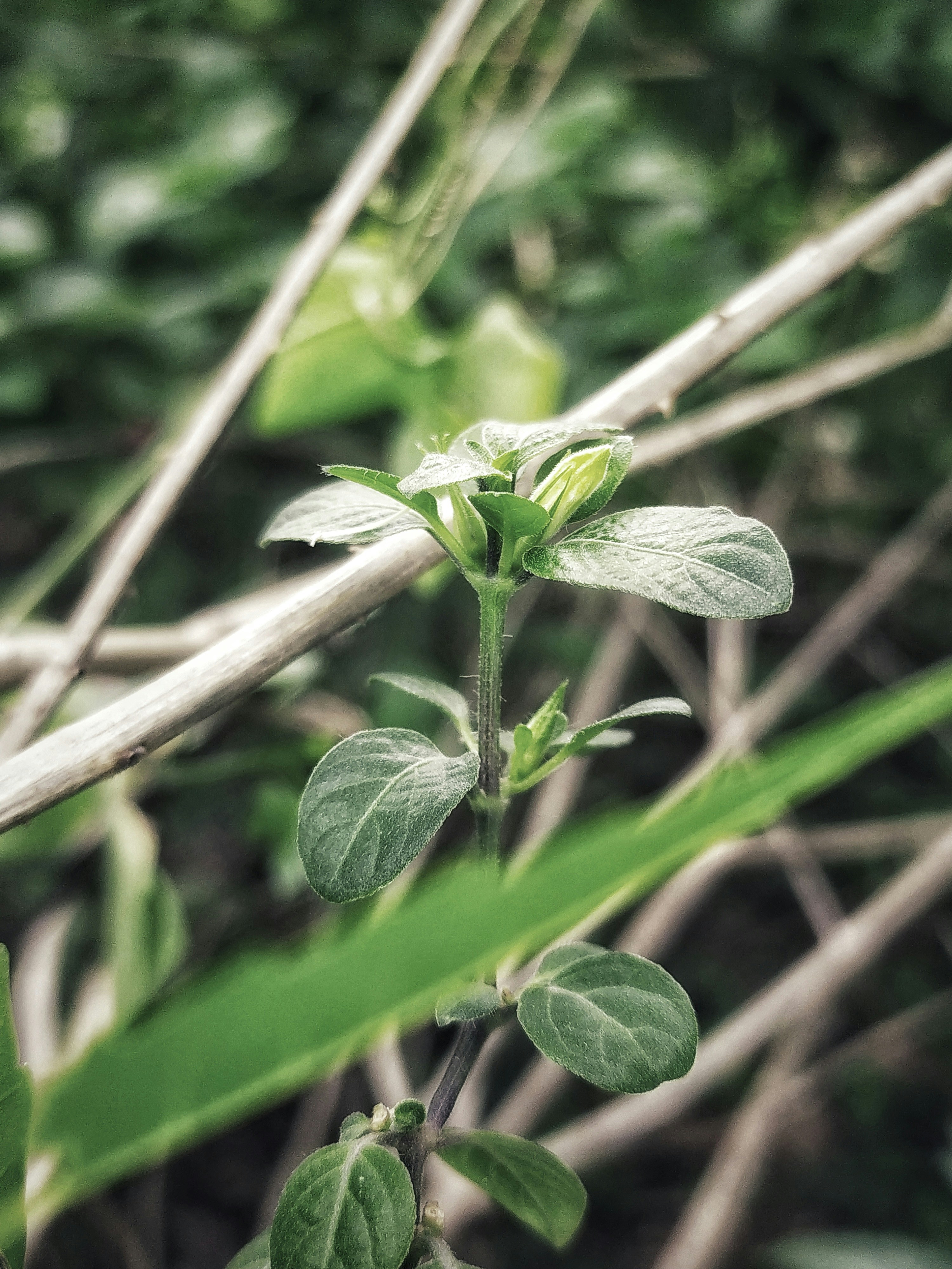 Photo by anosh12