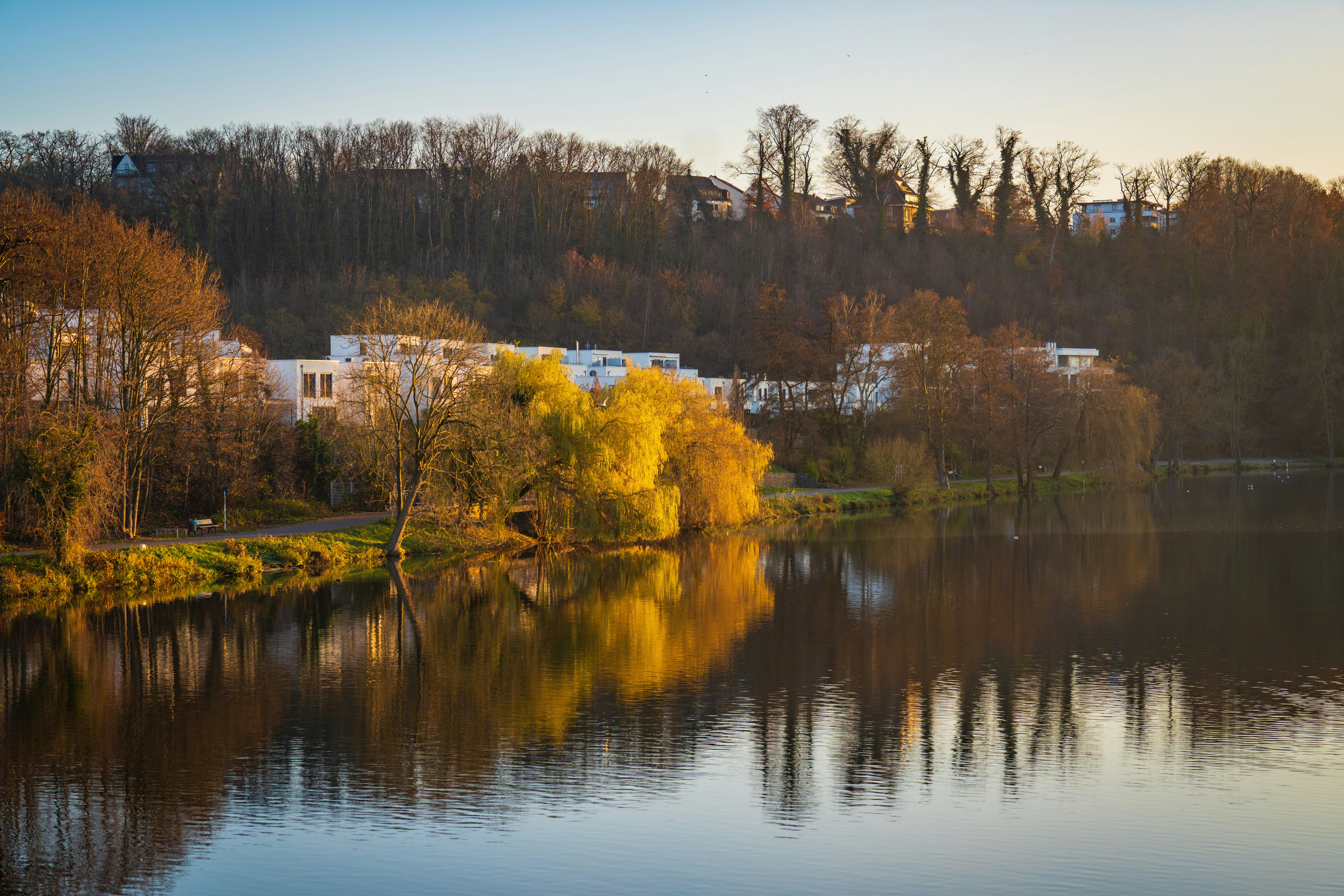 Photo by dmaxsilencer