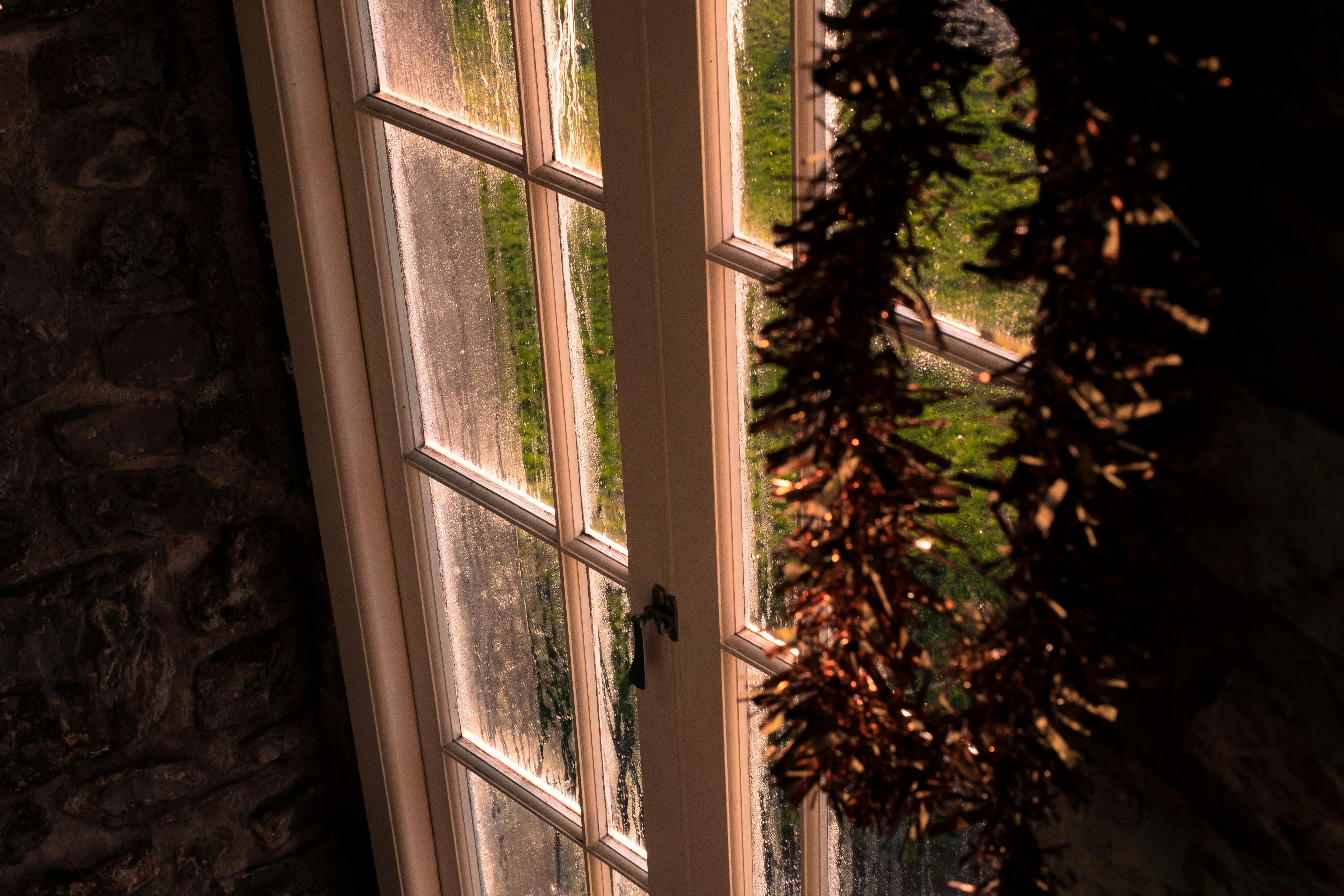 Photo by baguette_knight