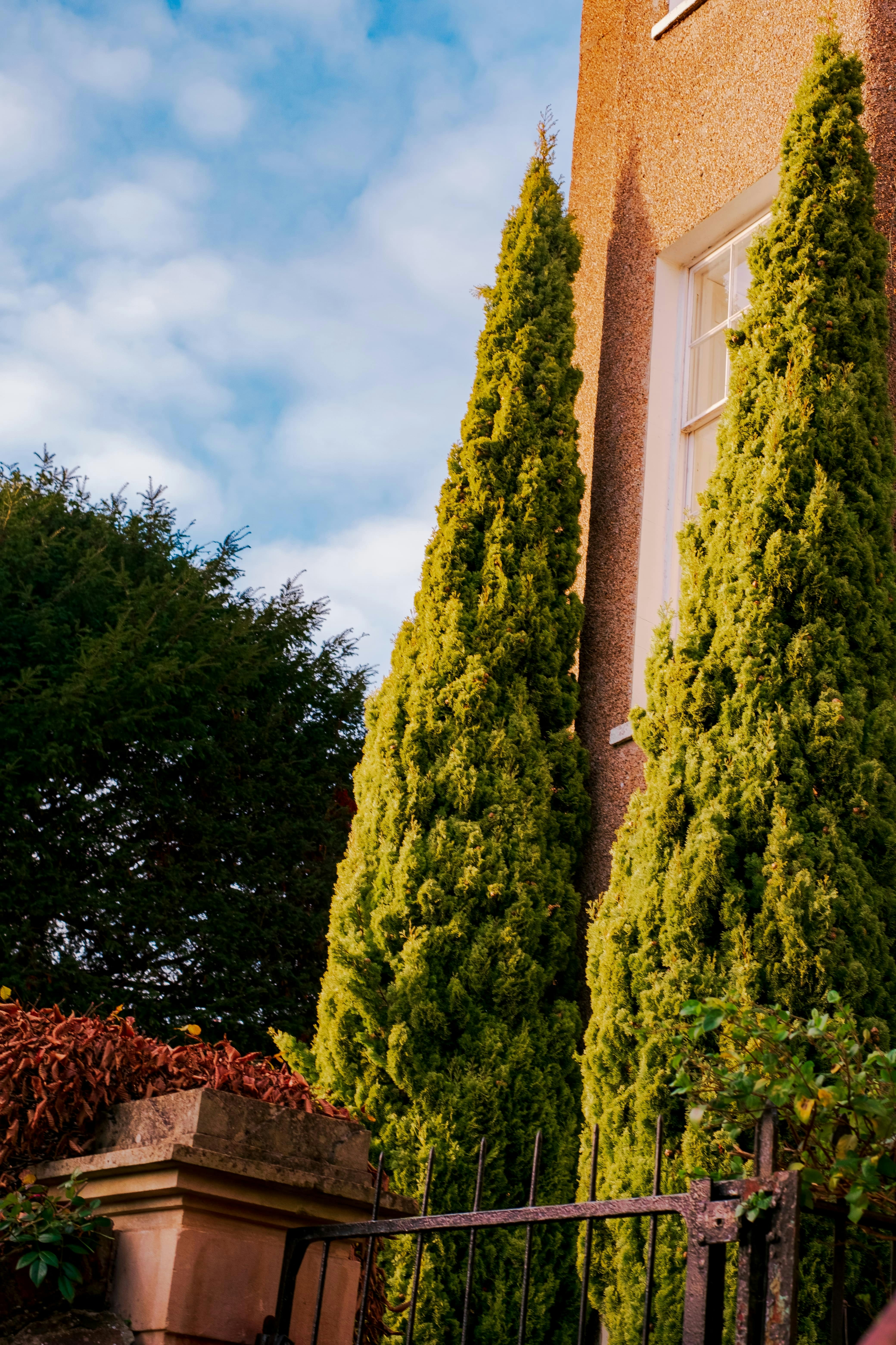 Photo by baguette_knight