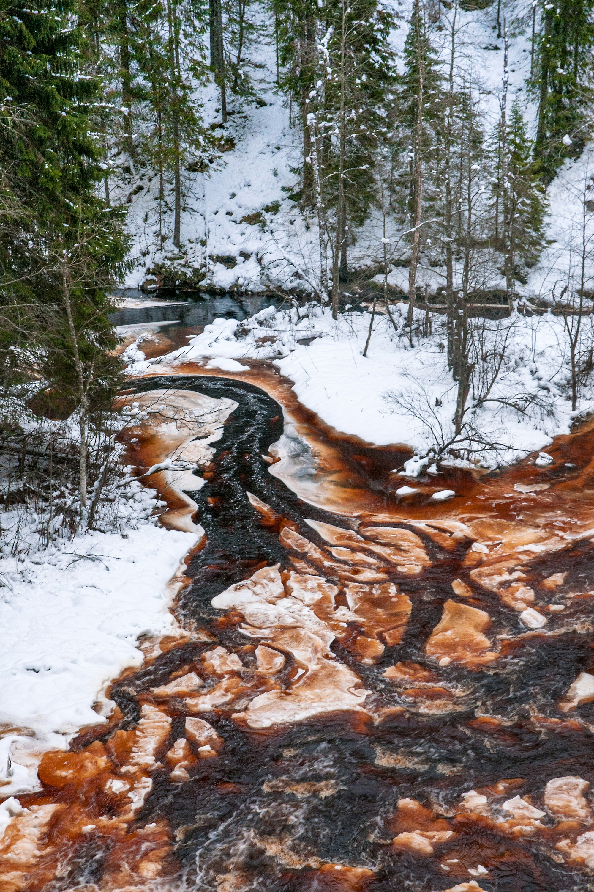A stream running through a snow covered forest photo – Free Waterfall ...