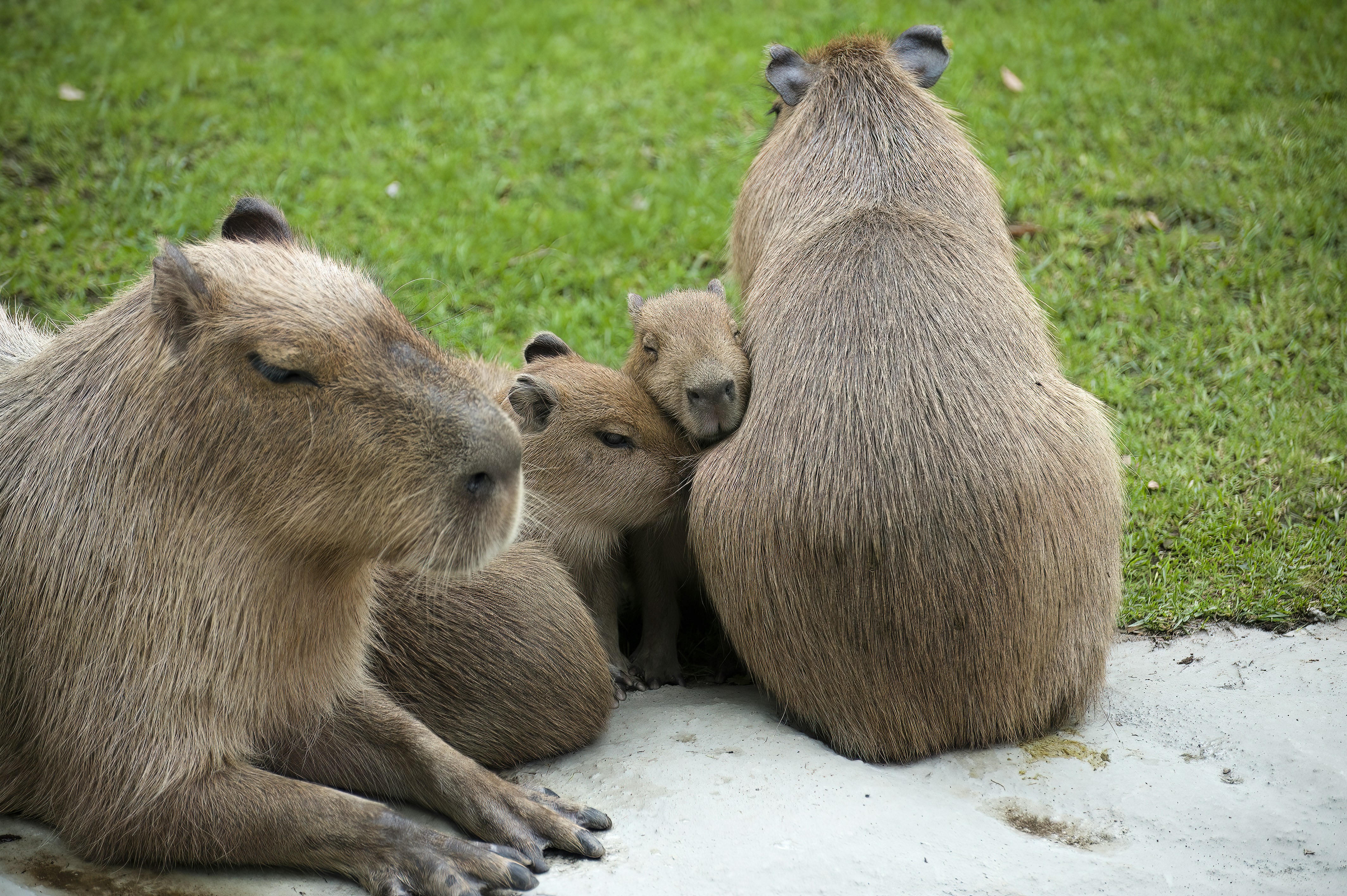 Grafika komputerowa w projektowaniu 3D - Zajęcia 2