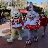 Two playful pets wearing matching handmade outfits, enjoying a lively park afternoon.