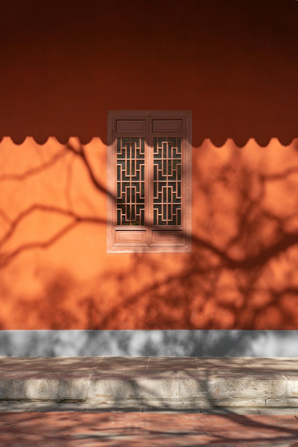 the shadow of a tree on the wall of a building