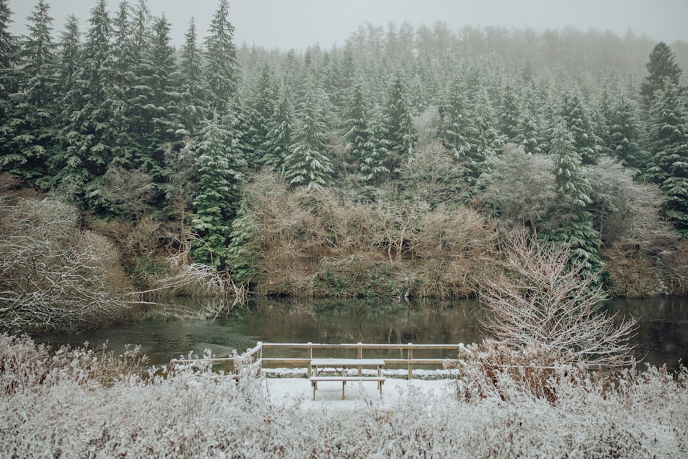 a bench sitting in the middle of a snow covered forest