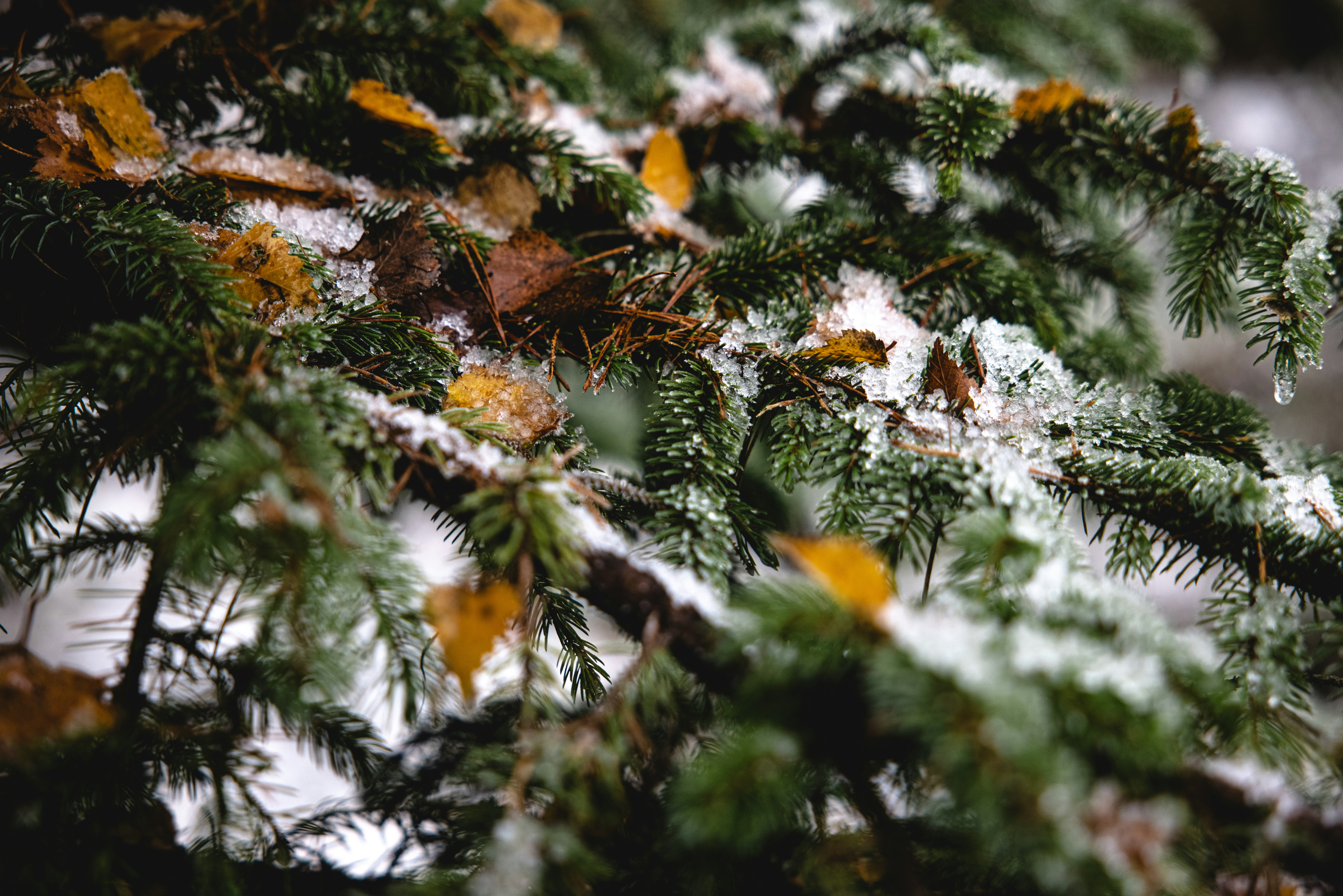 Photo by lukethorntonofficial