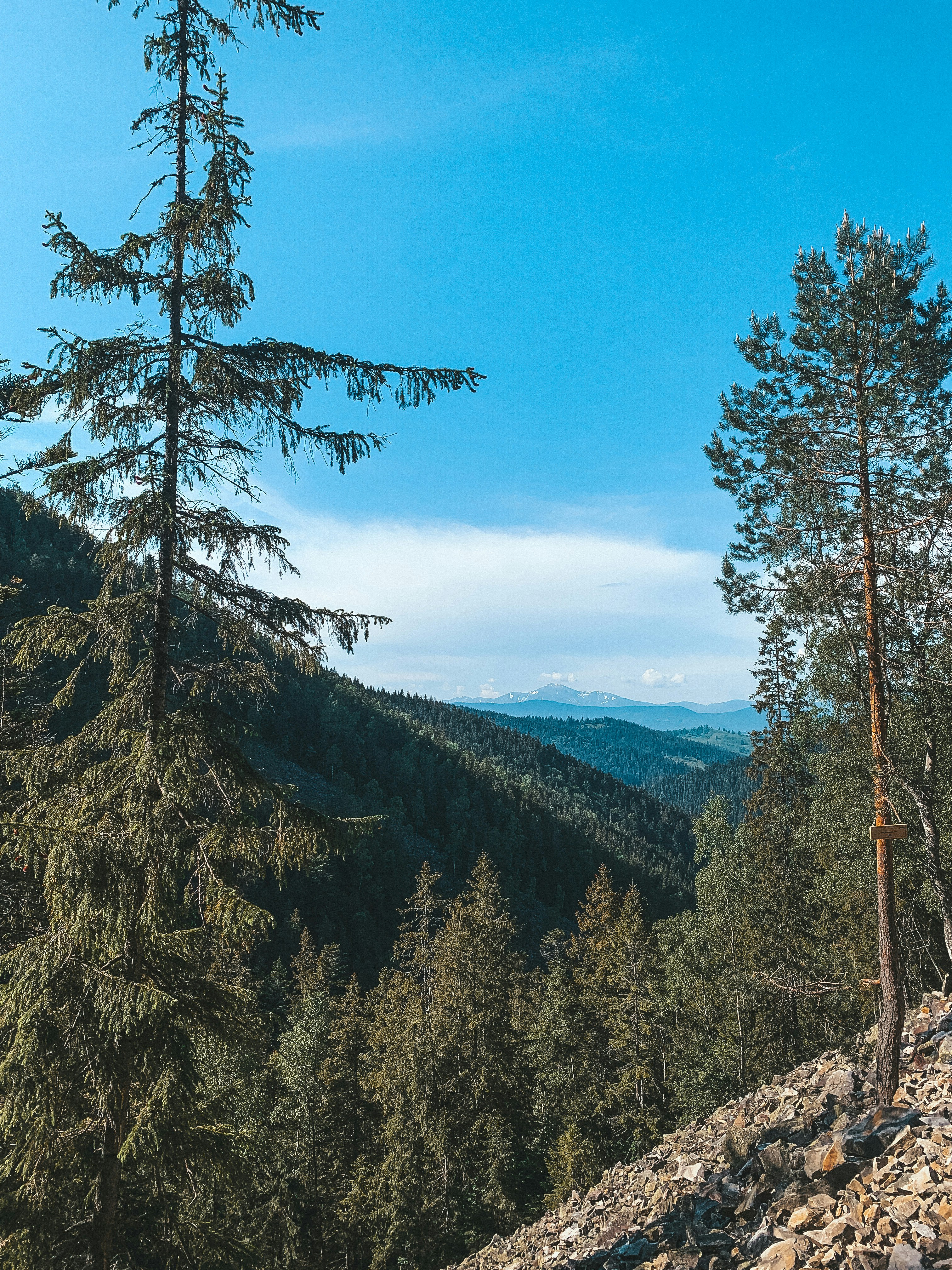 Photo by kotehidze