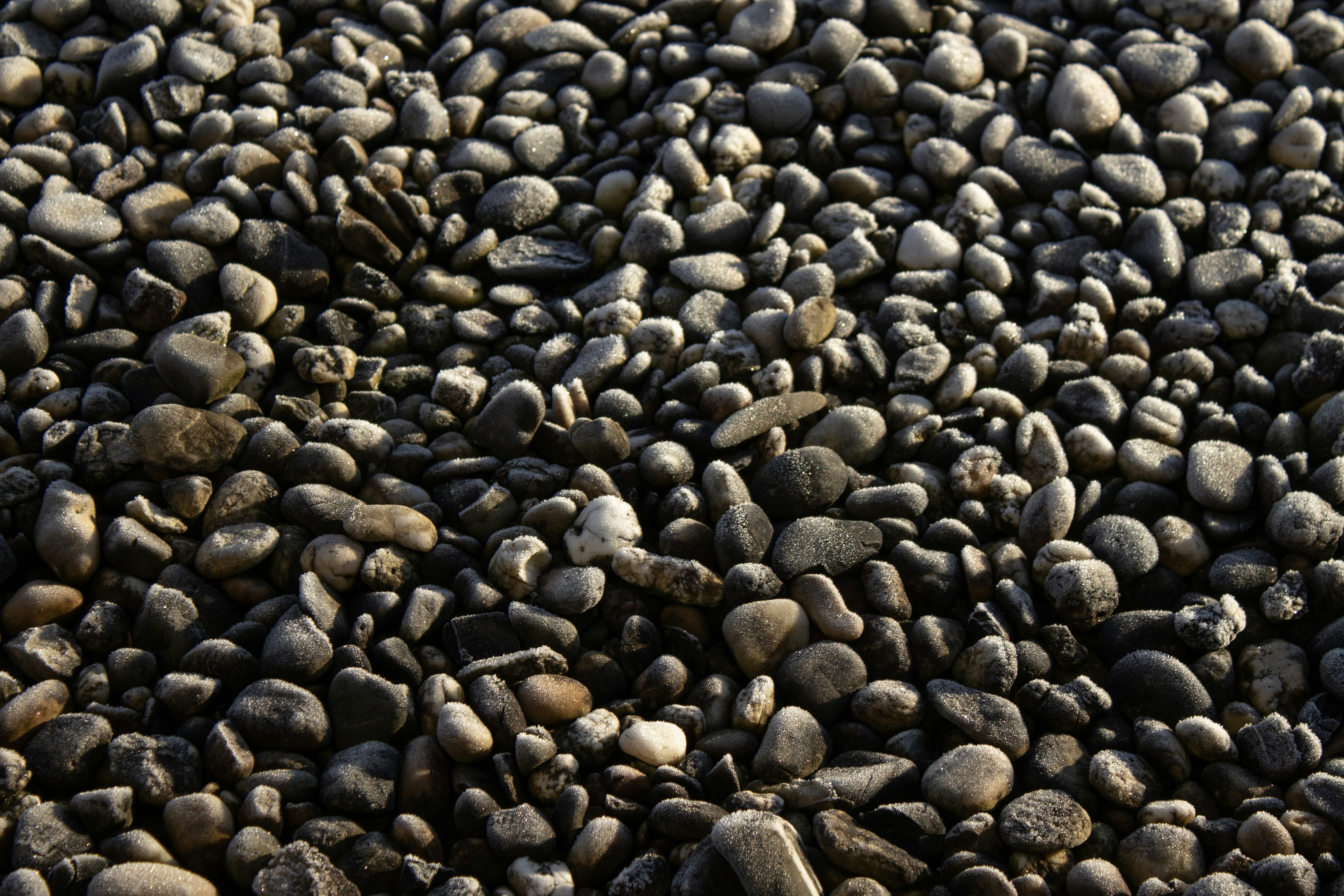 Photo by jaspervandam