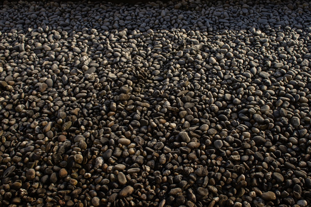 a bunch of rocks that are laying on the ground