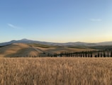 A serene landscape showcasing California's rolling hills.