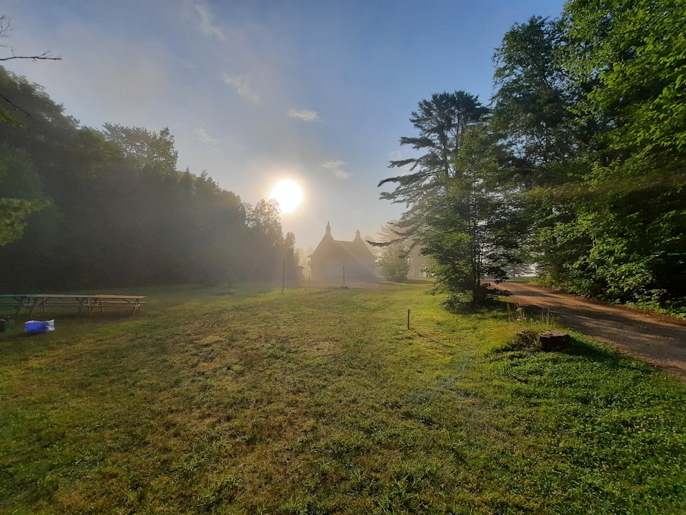 the sun is shining through the fog in the forest