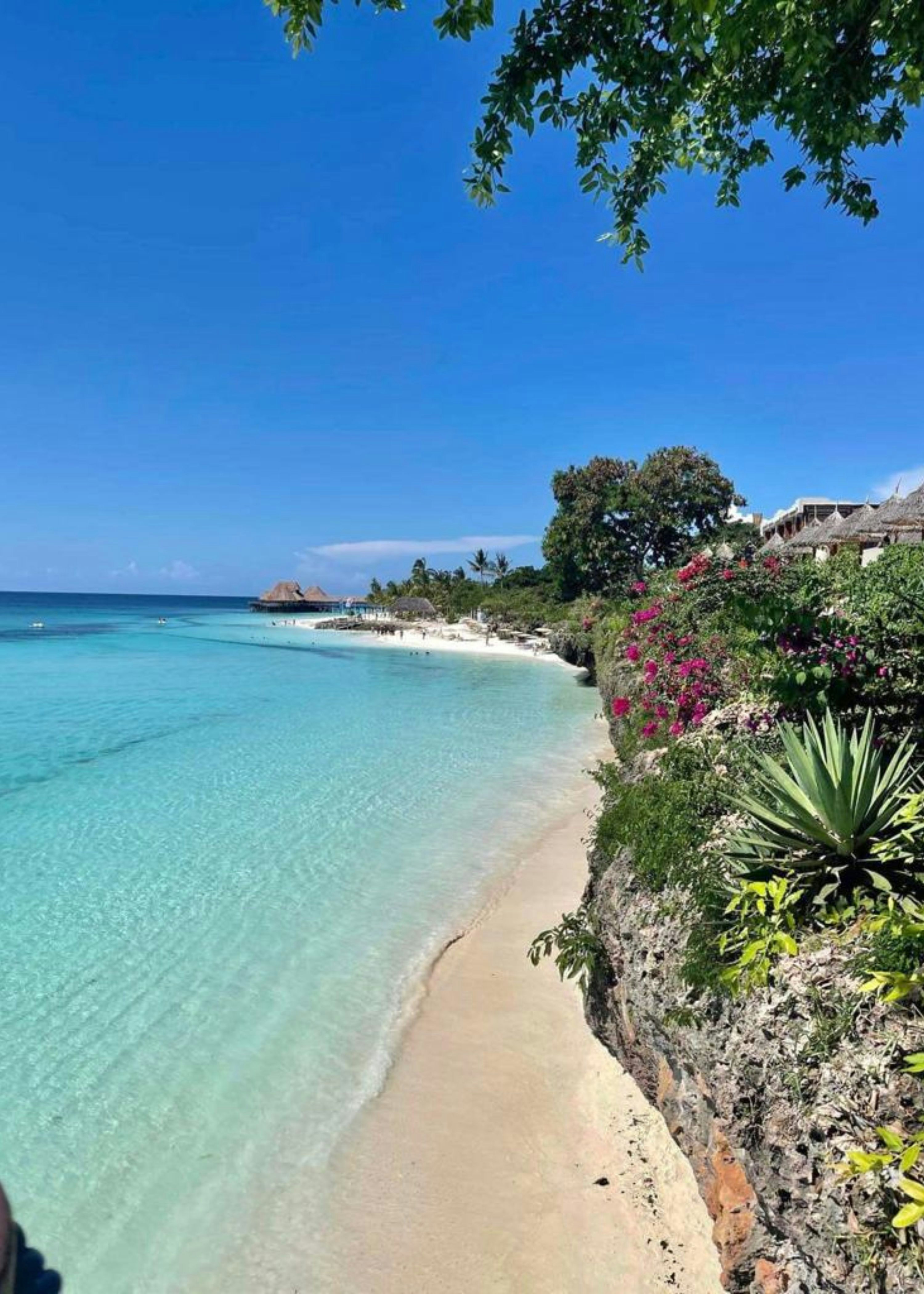 Une plage avec une eau bleue claire et un rivage sablonneux photo ...