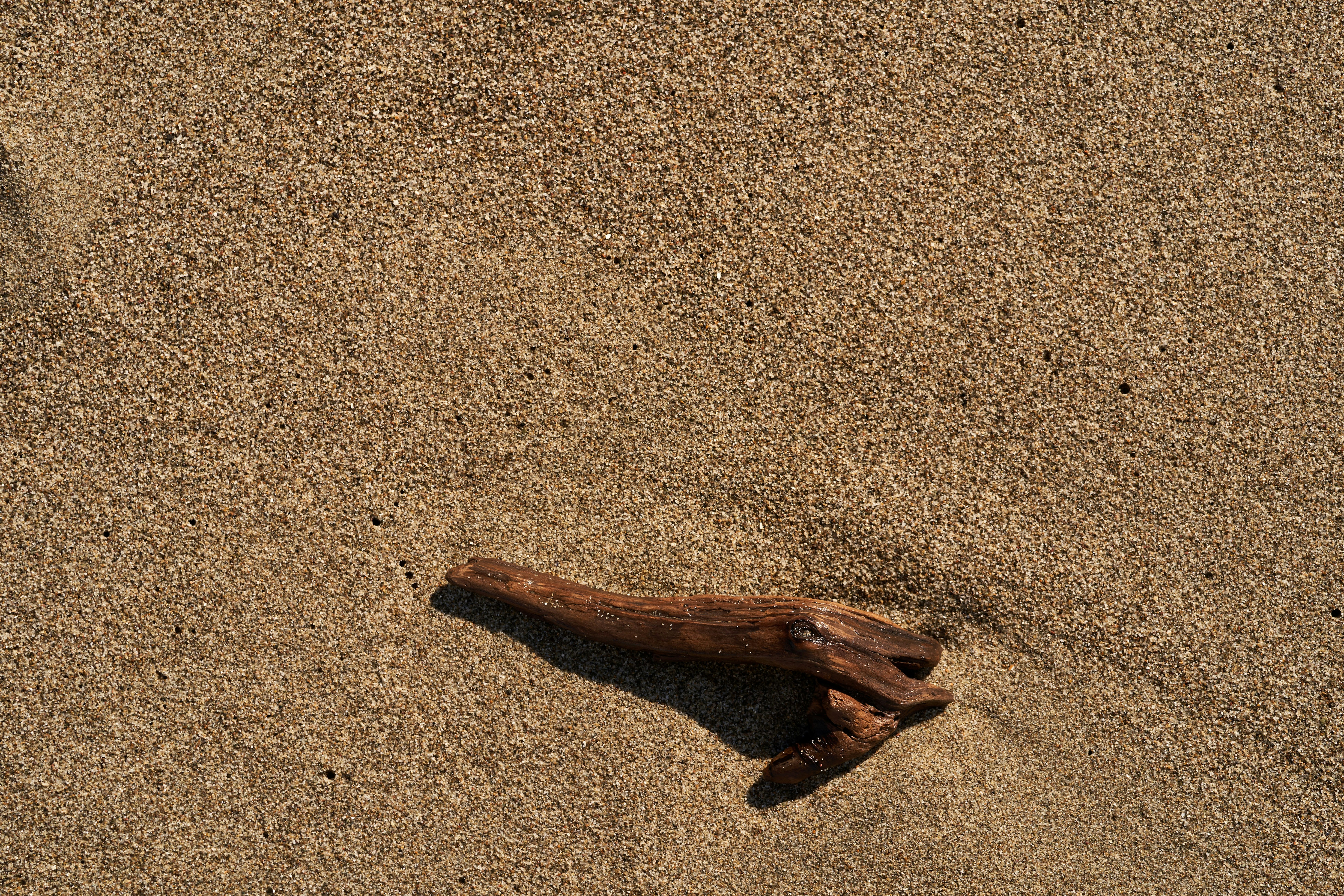 Photo by wolfgang_hasselmann