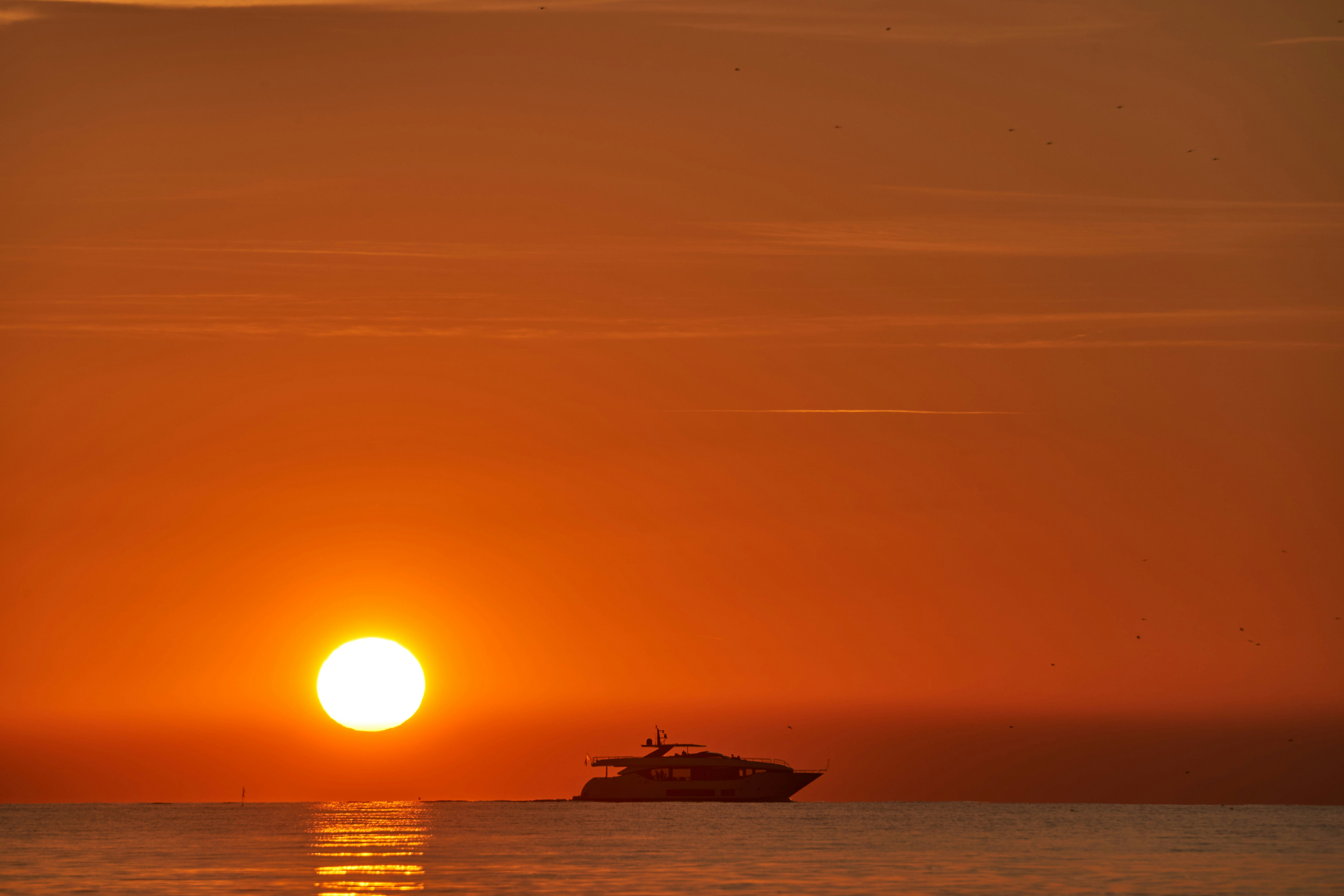 Photo by wolfgang_hasselmann