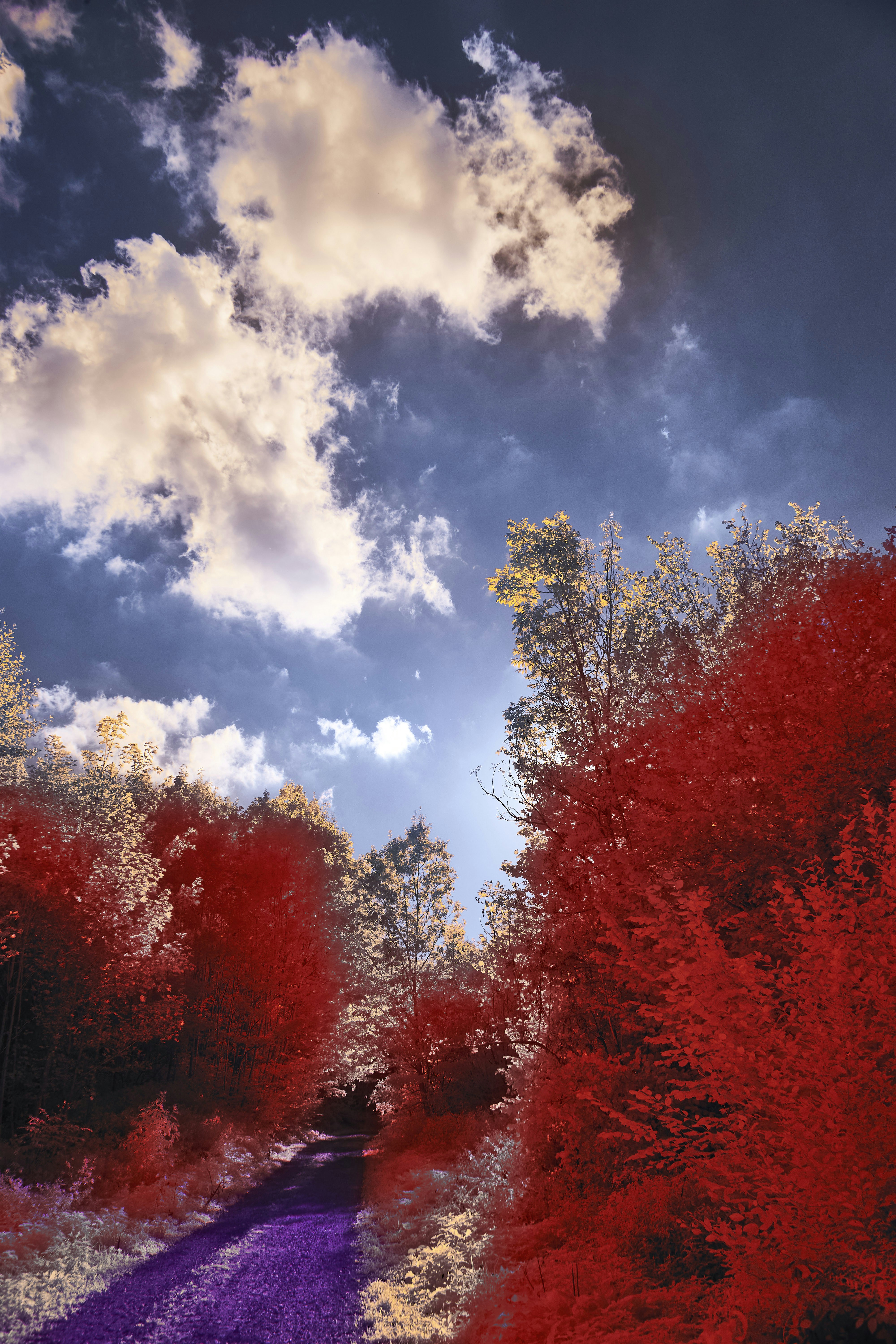 Photo by wolfgang_hasselmann