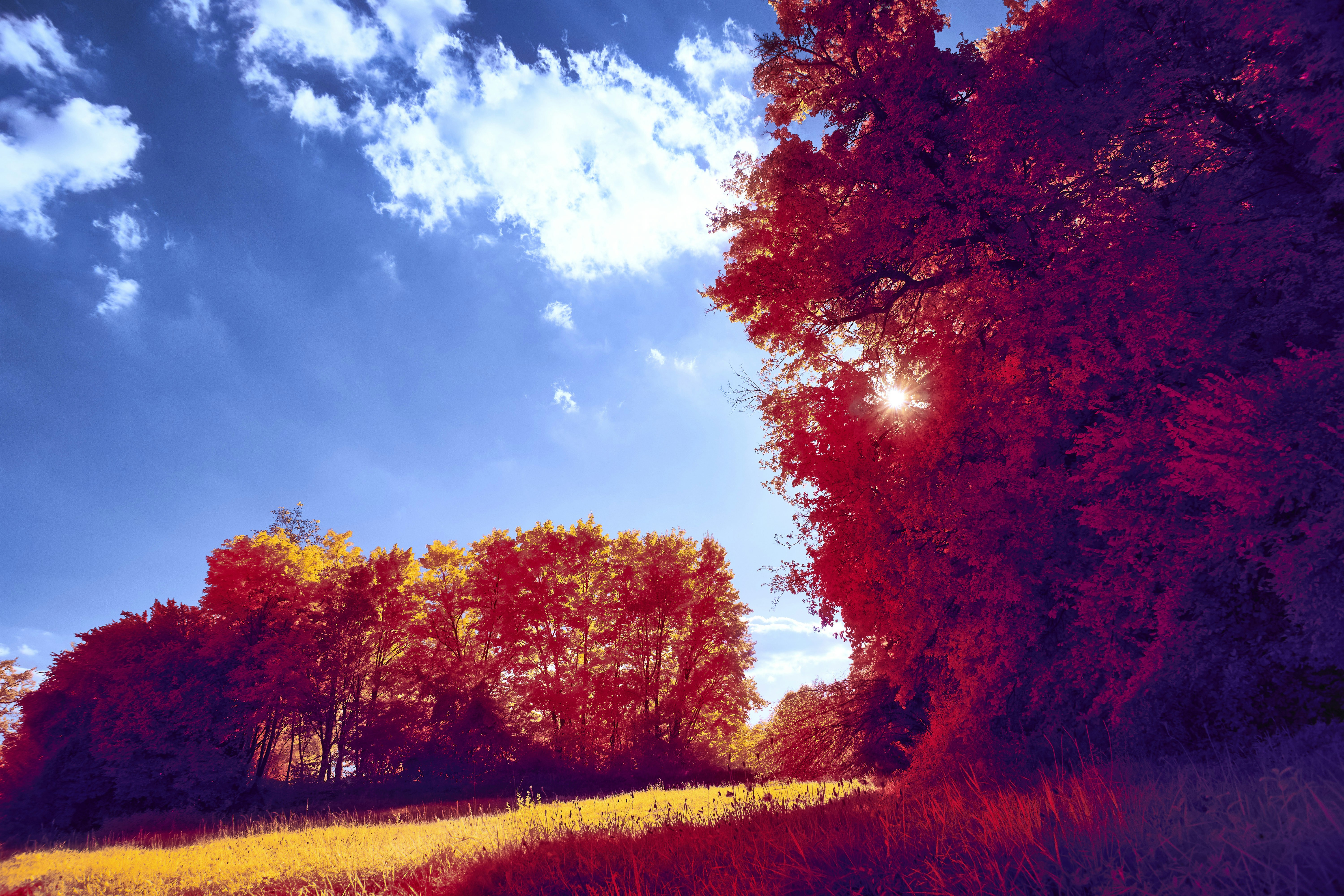 Photo by wolfgang_hasselmann