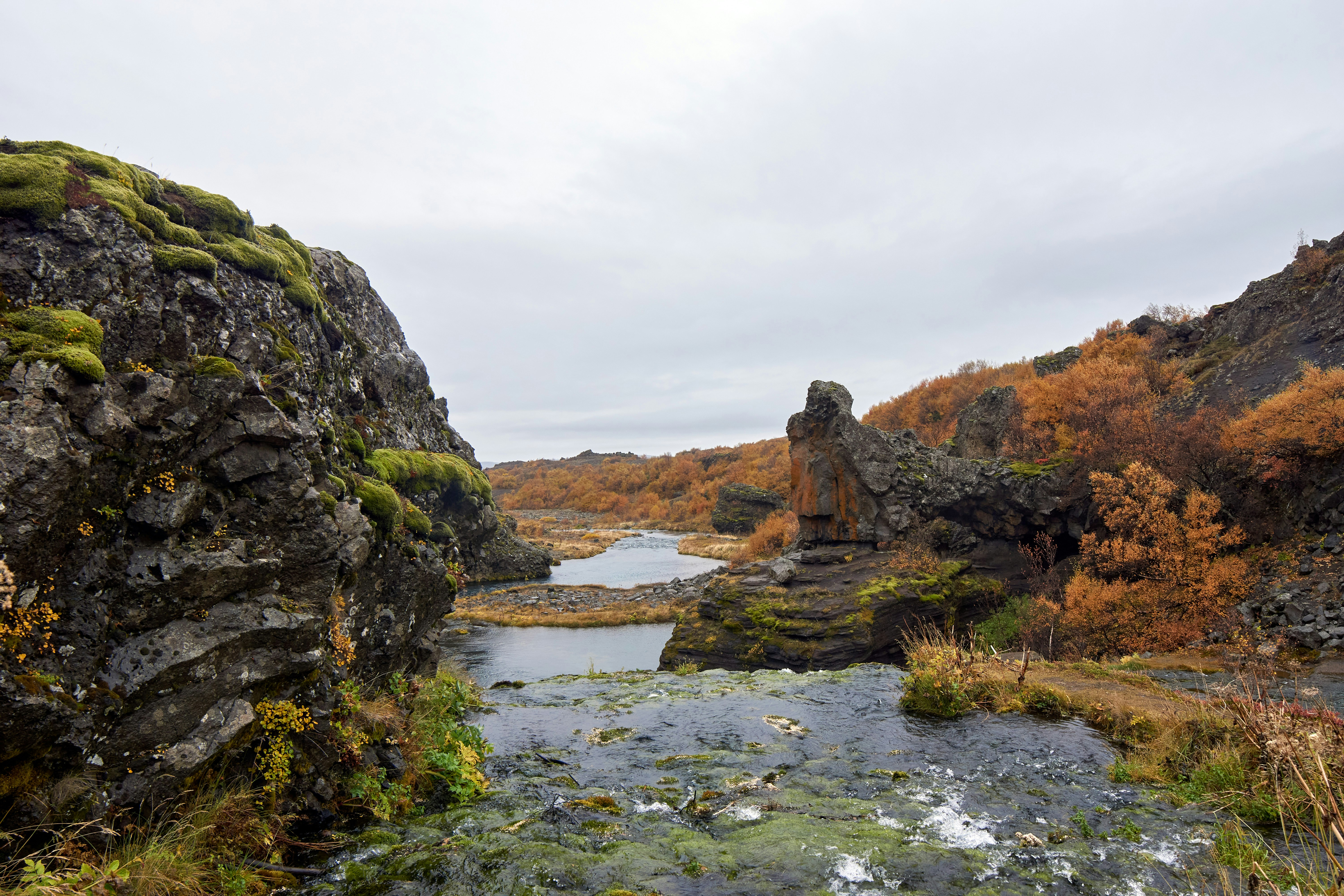 Photo by wolfgang_hasselmann