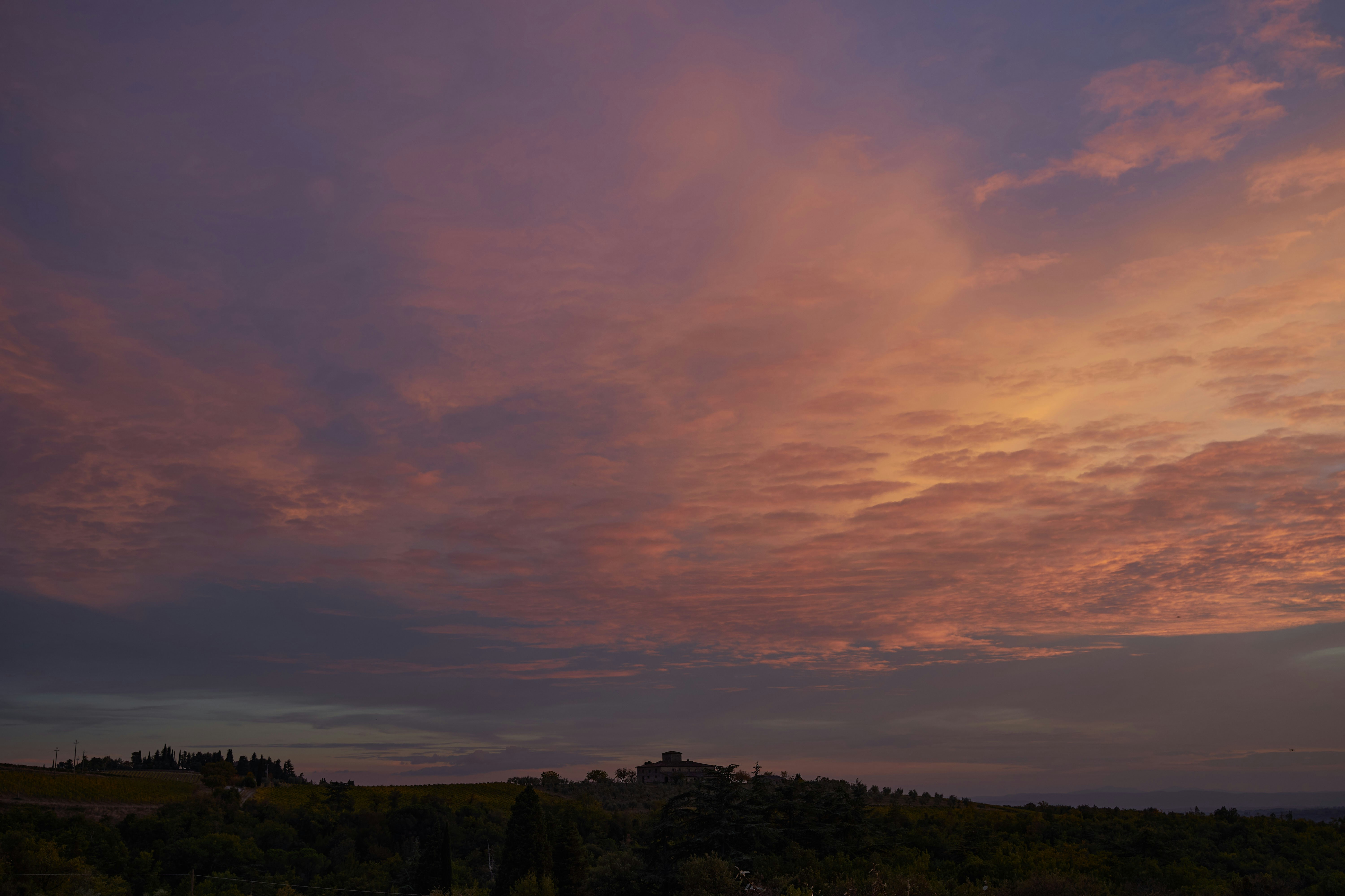 Photo by wolfgang_hasselmann