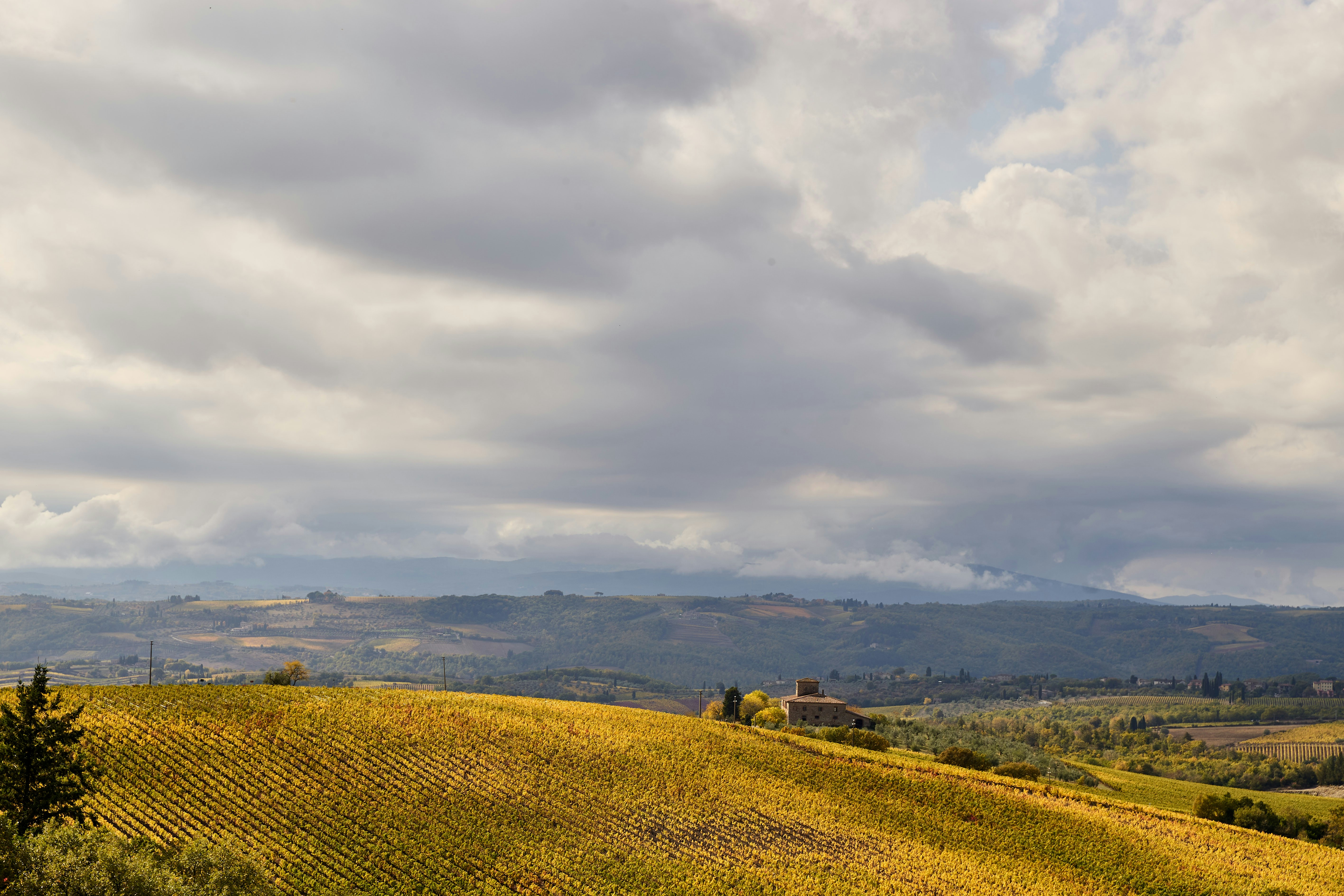 Photo by wolfgang_hasselmann