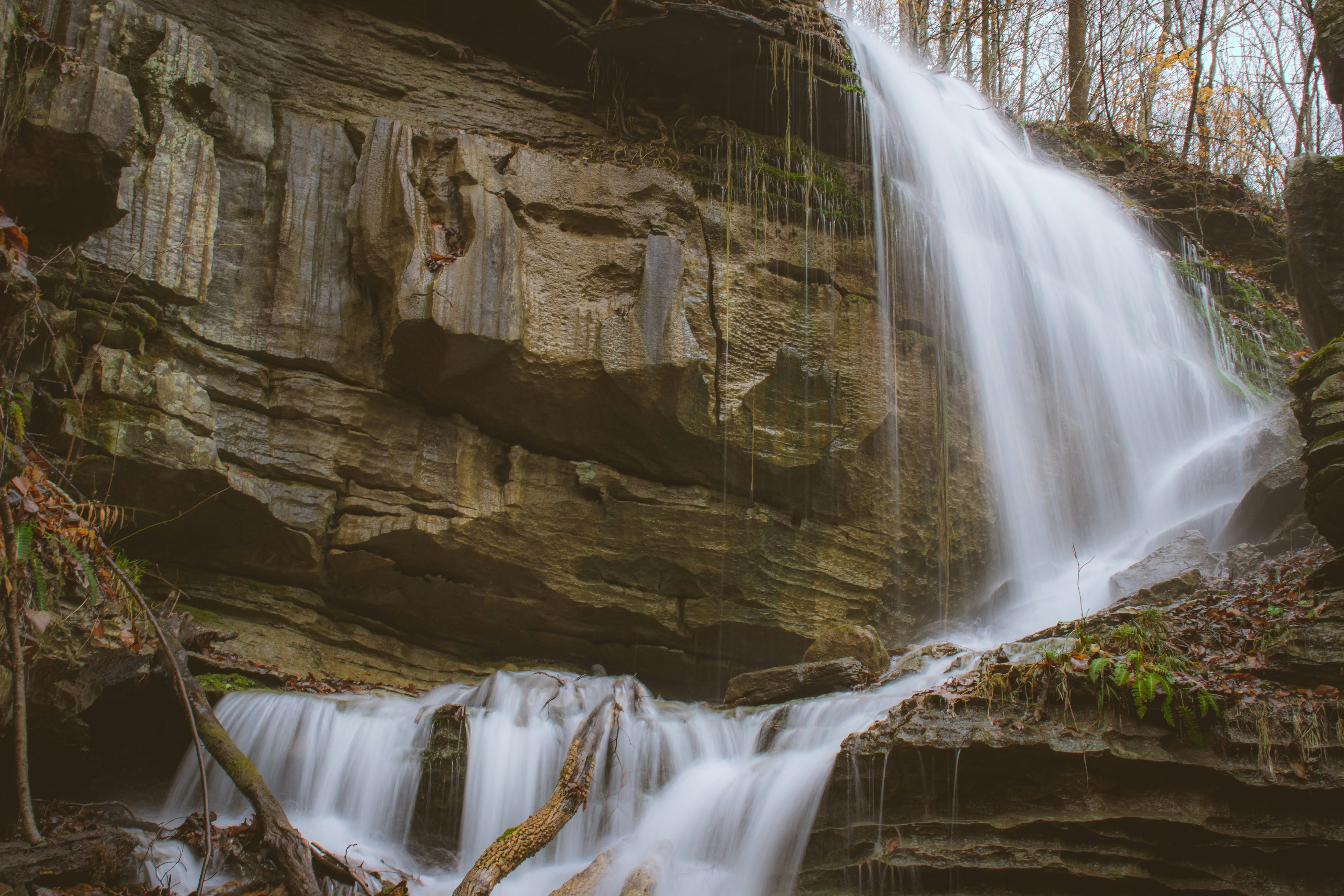 Photo by brice_cooper18