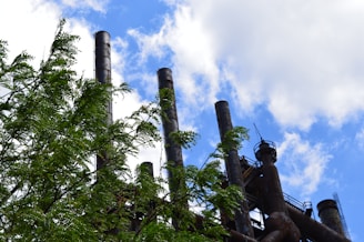 Tall industrial smokestacks rise against a backdrop of a blue sky dotted with white clouds. In the foreground, lush green tree branches provide a stark contrast to the rusty brown of the industrial structures.