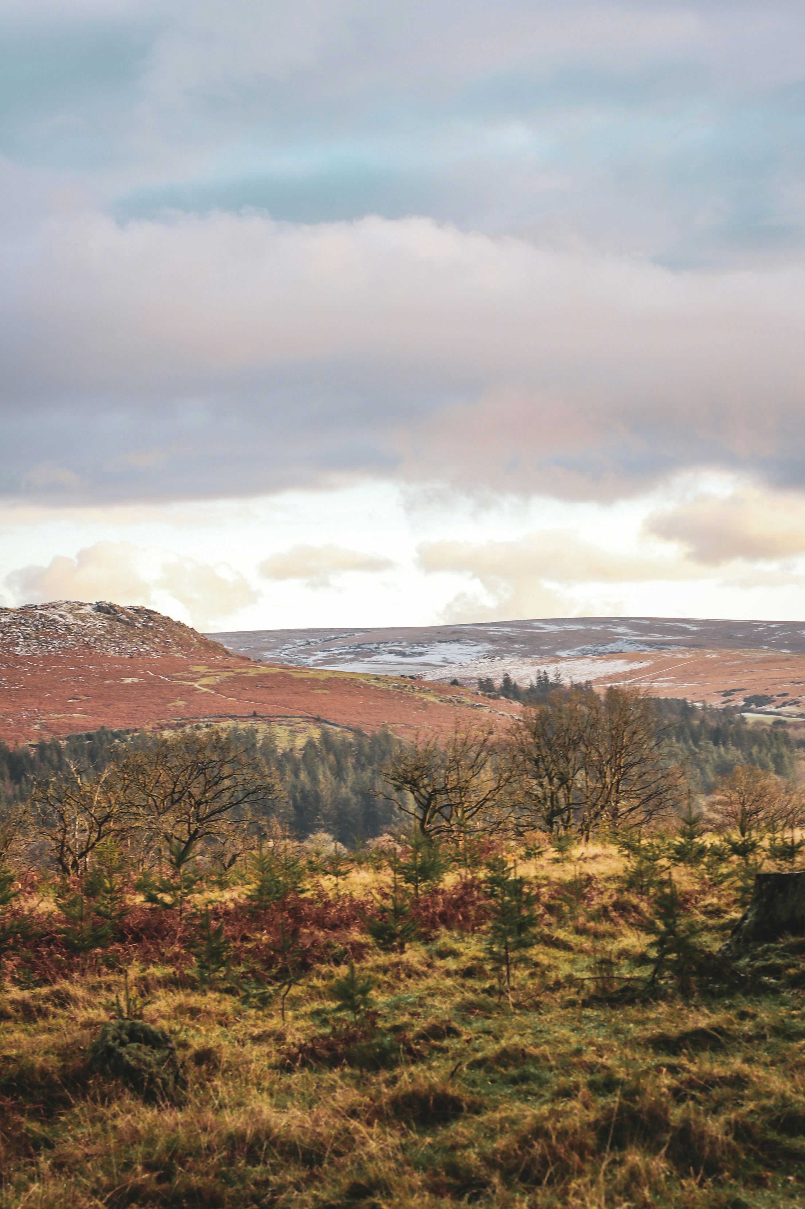 Photo by focalinsight