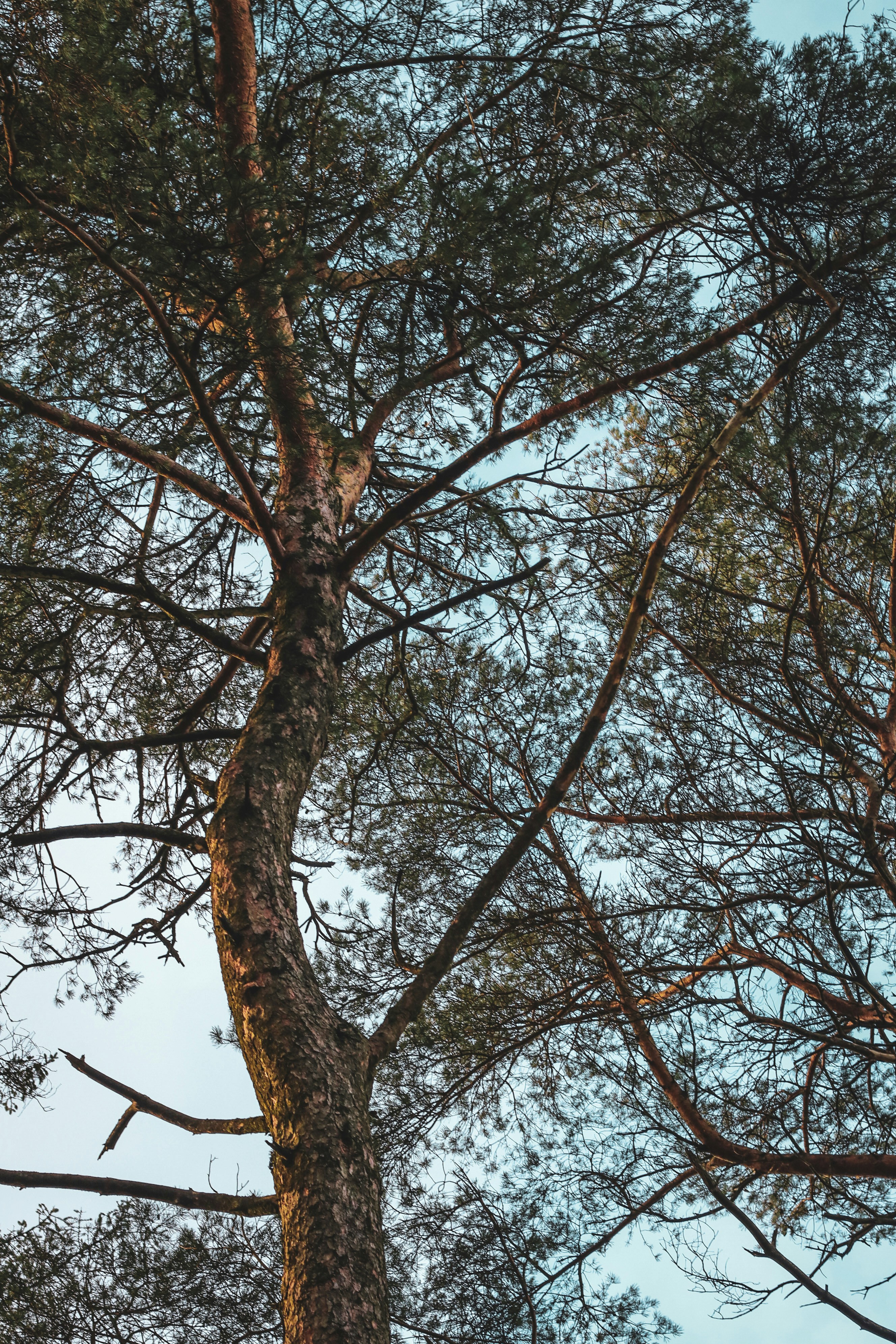 Photo by focalinsight