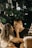 A couple sitting closely in a softly lit outdoor setting, with strings of lights hanging around them. The woman gently touches the man's face while looking into his eyes. The surroundings suggest a romantic, intimate atmosphere.