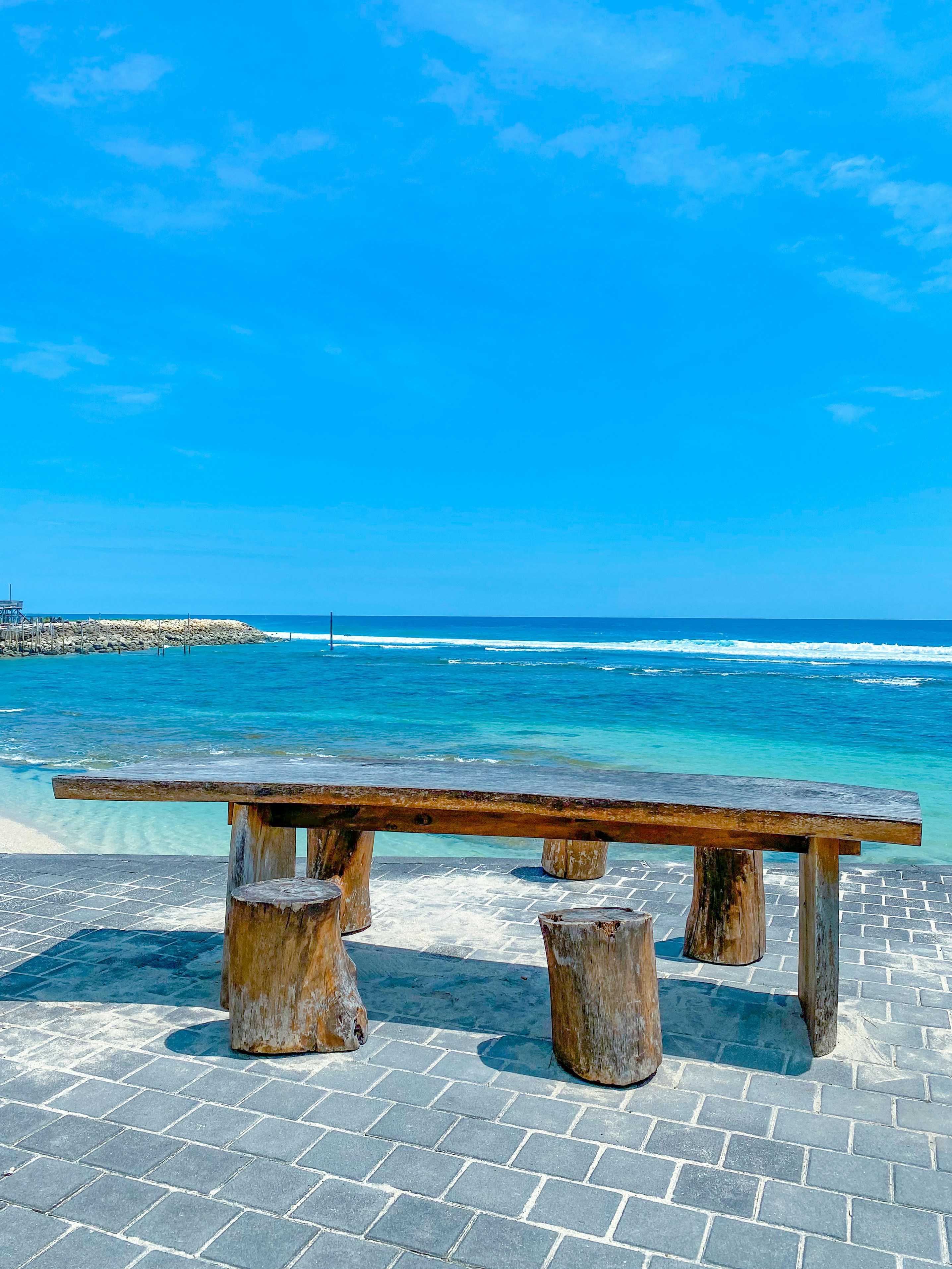 Ocean Driftwood Table