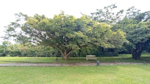 Close-up of a community park area with benches and young trees under a clear sky.