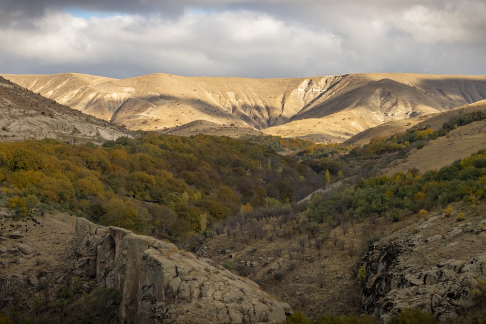 a view of a valley with mountains in the background