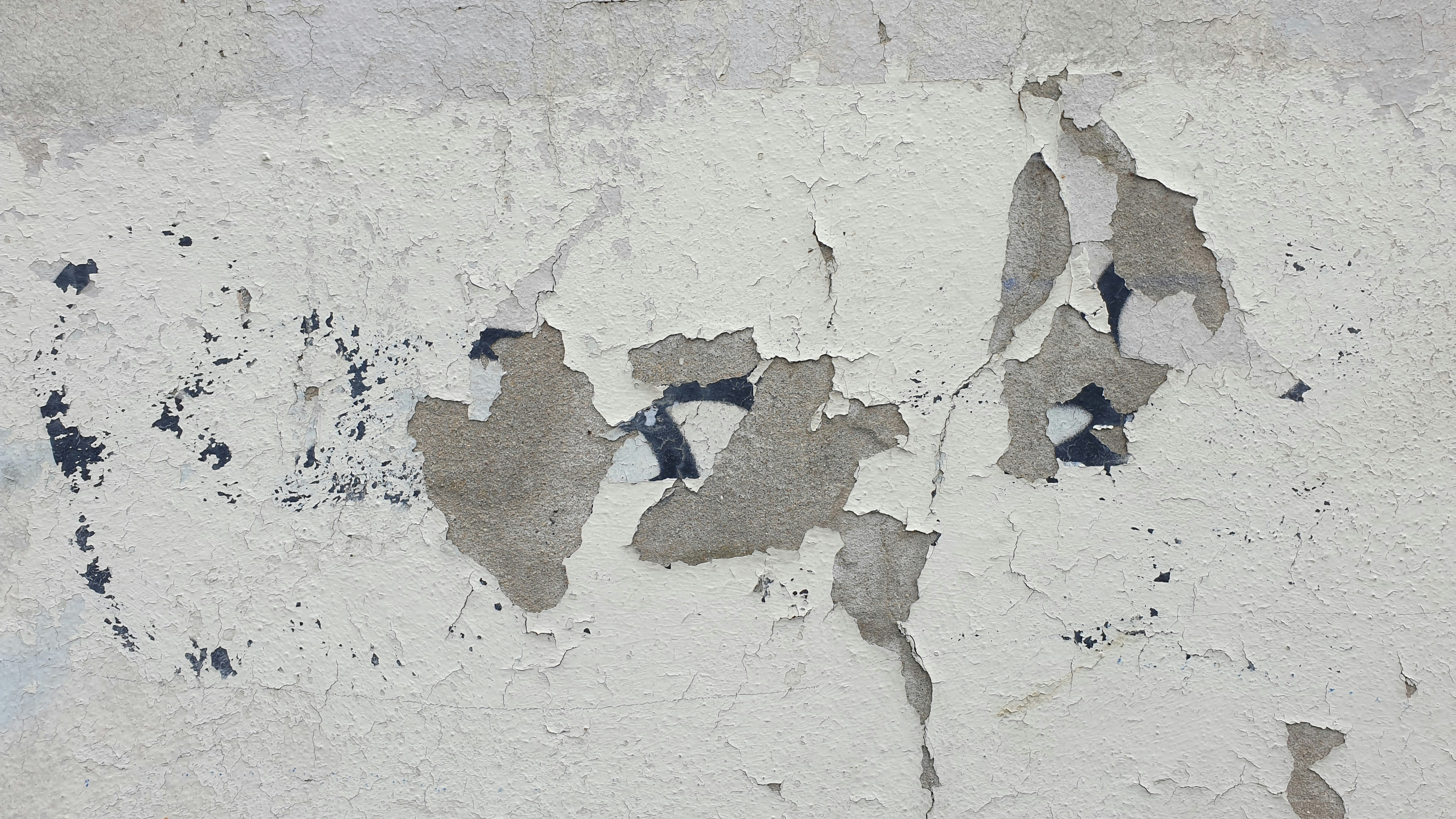 Damp patches and mold growth on interior plaster walls.