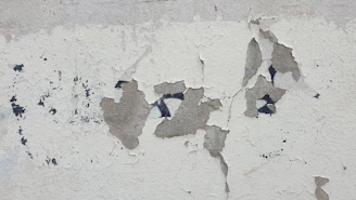 A damp patch spreading on an interior plaster wall of a traditional UK house.