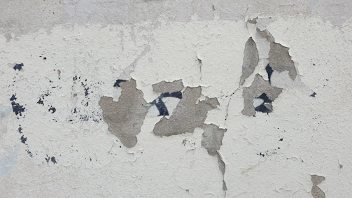 Damp patch spreading on an interior plaster wall with peeling paint near a window.