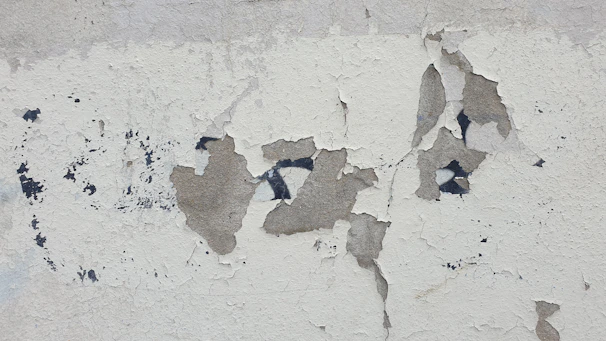 Damp patch spreading on an interior plaster wall with peeling paint