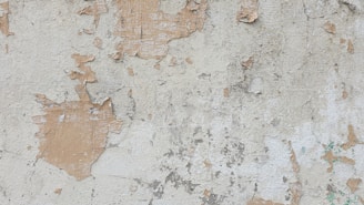A weathered, peeling wall with patches of exposed plaster and paint. The surface shows signs of aging with areas where the top layer of paint has chipped off, revealing an underlying layer. The wall has a rough texture and varying shades from beige to light brown.